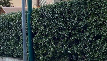 Casa Vittoria - Photo 4