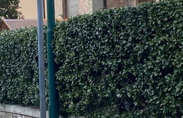 Casa Vittoria - Photo 4