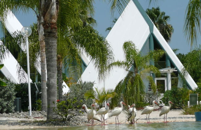 Pyramids in Florida - Foto 77