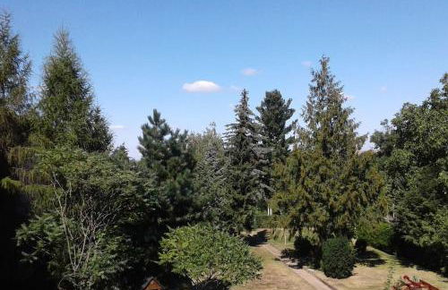 Ferienwohnung am Harz - Foto 21