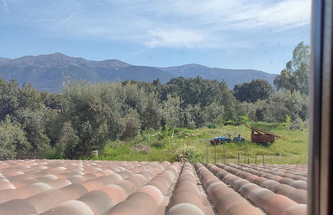 Il nuraghe - Foto 59