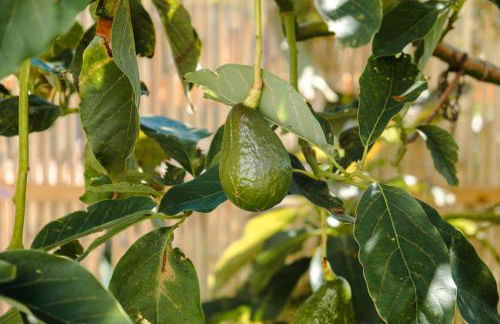 GuestReady - Leme Beach Breathtaking Views - Foto 60