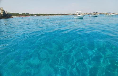 COSTE del Salento - Foto 11