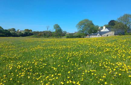 The Barn at Cae Bach - Foto 47
