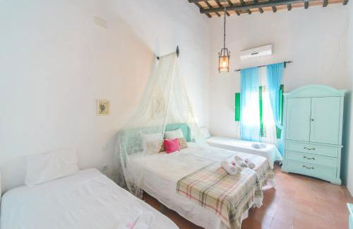 Huerta la Pimentada - Foto 21