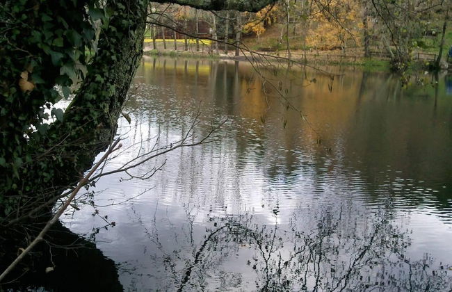 Casa da Travessa do Casal - Foto 10