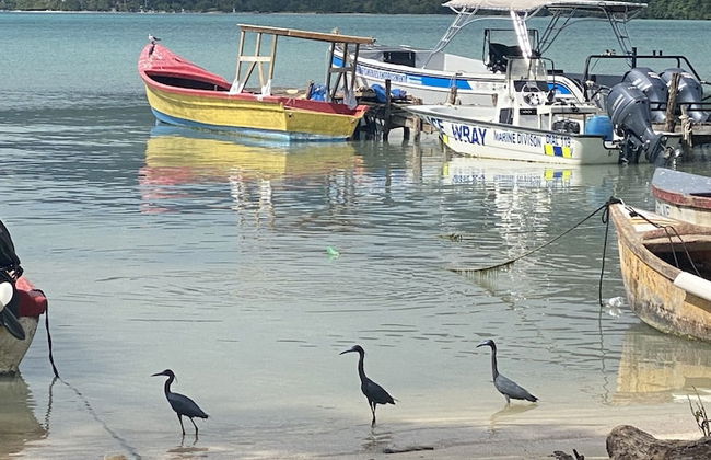 The Belair - Photo 32