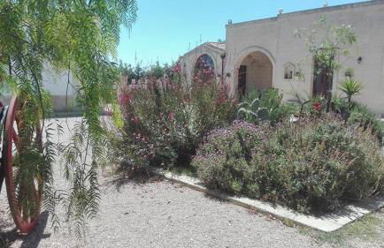 Masseria Sucéa - Foto 50