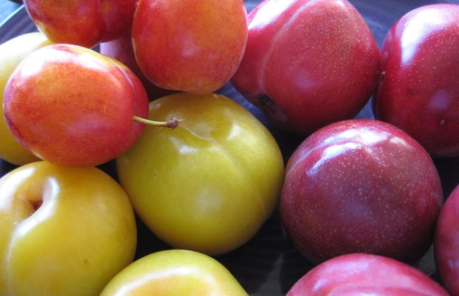 Seaside House 2 Double Bedrooms With Spectacular Mountain Sea View - Foto 9