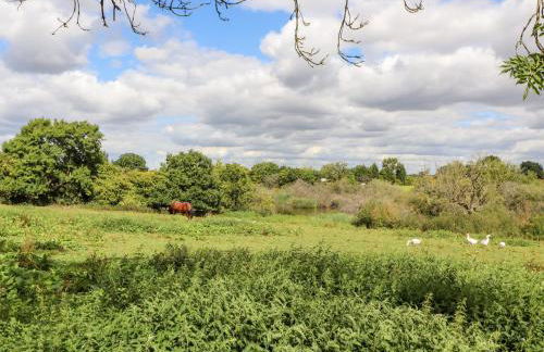 Swallow Cottage - Photo 19