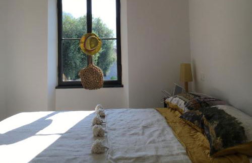 House in Grimaldi. Spectacular view over the French Riviera! - Foto 12