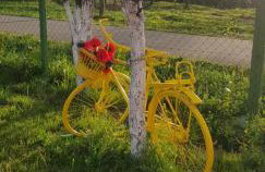 Propolis house - Foto 35