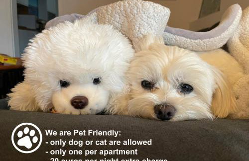 Apartments Monika & Breakfast Baskets 145 - Foto 52