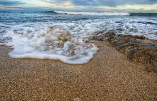 La ramasola & il datterino - Foto 63