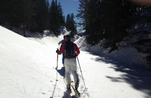 Alps Residence - Photo 17