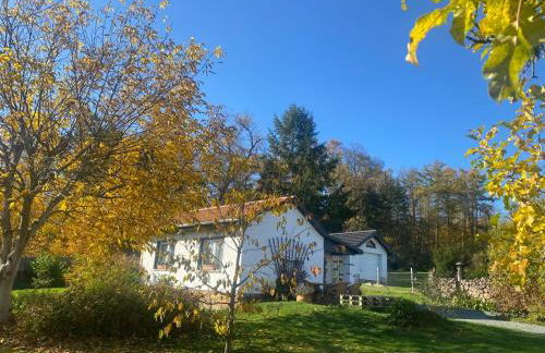 Ferienhaus Elsterblick - Photo 1