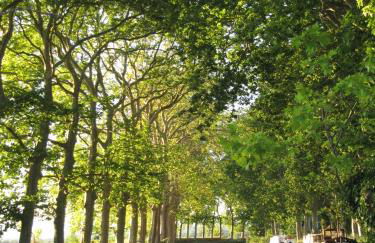 Chez Pauline & Vincent Côté Canal - Foto 41