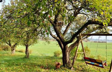 Gemütliches Studio-Apartment in Ostseenähe - Cosy Wulfi - Photo 33