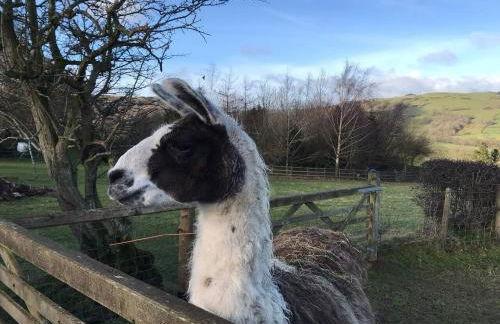 Converted Stone Barn -20 Acres - Farm Animals! - Photo 34