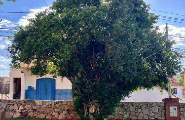 Estação Rústica - 200m da Maria Fumaça - Foto 23