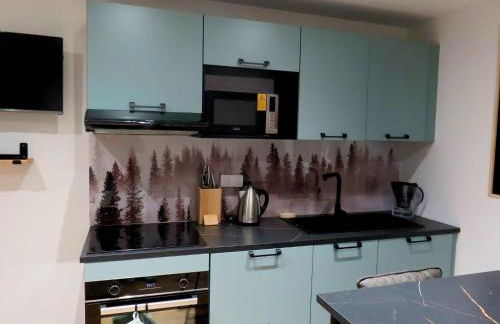 Appartement T2 neuf et moderne - Foto 5