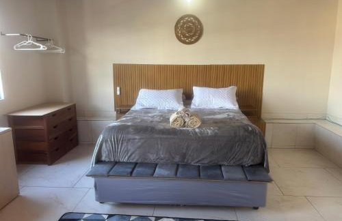 Apes Raizes Douradas - Foto 49