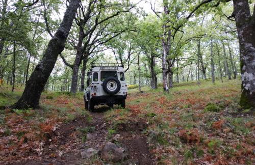 Prado del abuelo - Foto 18