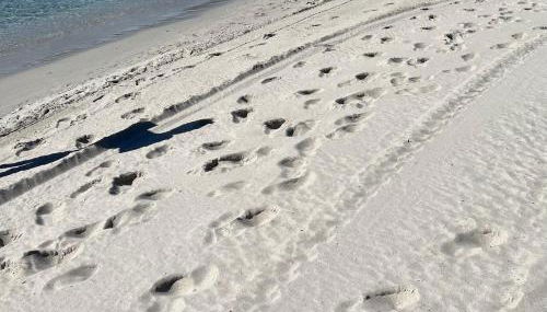 La Conchiglia sul Mare - Foto 2