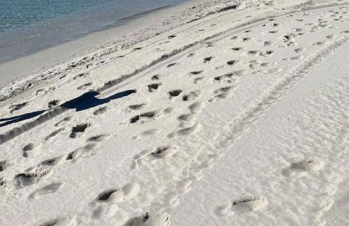 La Conchiglia sul Mare - Foto 2