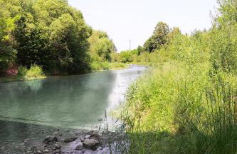 Noclegi Nad rzeką Białą - Photo 24