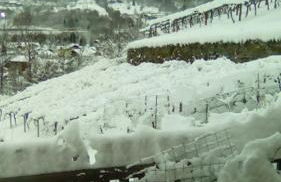 Appartamento Sole - Foto 11