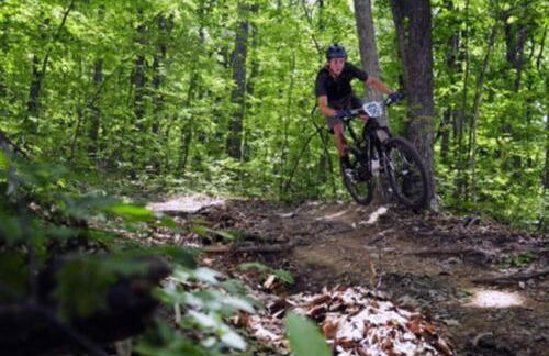 Massanutten Resort - Foto 64