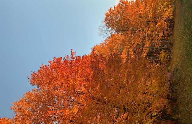 Relaxing Nature Retreat Perfect for Large Groups - Foto 59