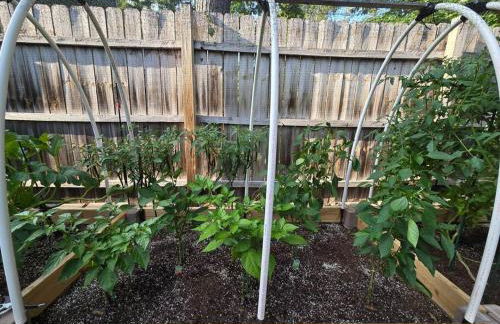 Peaceful Apartment - Foto 47