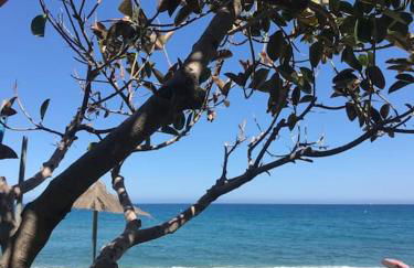 Casa Alegria - Foto 40