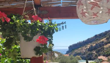 Emma's HOUSE near beach - Foto 2, Garden