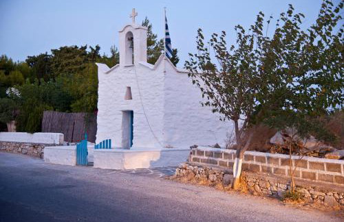 Tarsa Studios - Photo 52