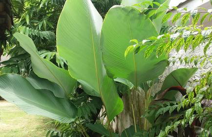 Casa Centro Historico - Photo 14