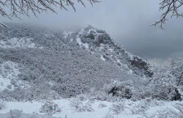 Libera Mente - Foto 2