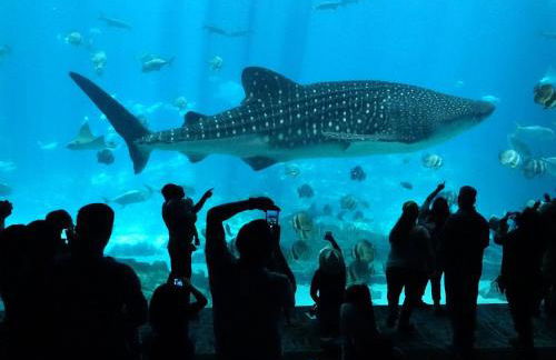 Views from ATL Beltline - Foto 21