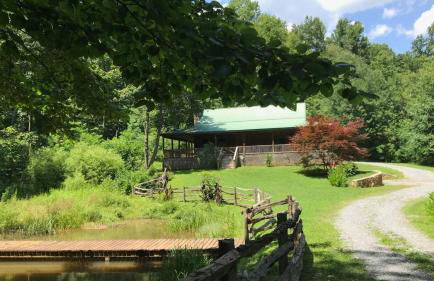 Charming Blue Ridge Cabin Private Pond and Waterfall Deer Haven by AvantStay - Foto 14