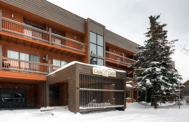 Cedars Lodge Condos by CRMR - Foto 23