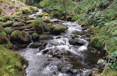 The Cosy Pad Glan Y Morfa Bach - Foto 12