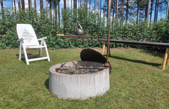 Lapland Pure Nature and More! - Foto 22