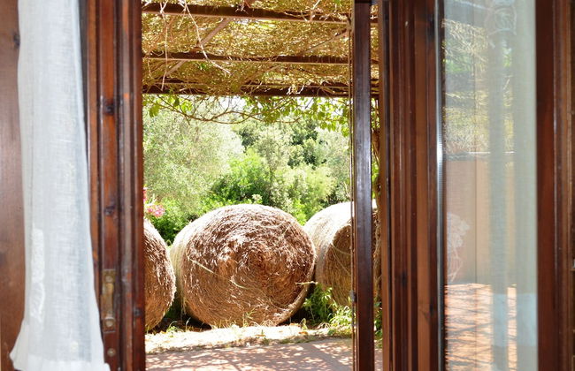 Tenuta Uccellina - Foto 16