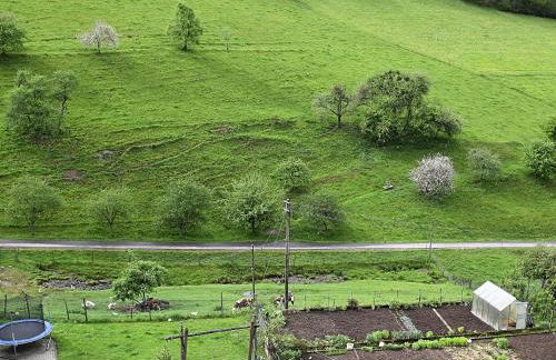Ferienhaus, Muhlenbach - Foto 16