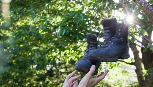 Landhaus 3 Birken - Foto 3