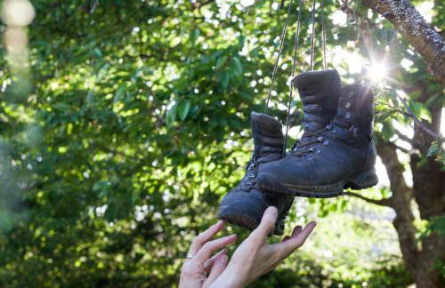 Landhaus 3 Birken - Foto 3