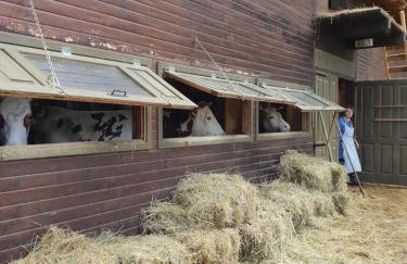 Modern Alpine Monsalbius Chalet - Foto 56