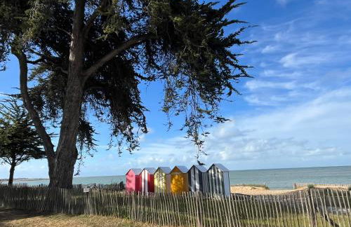 Départ du Marin à la Cotinière - Foto 13